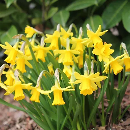 In Boltenhagen In Strandnaehe Redewisch