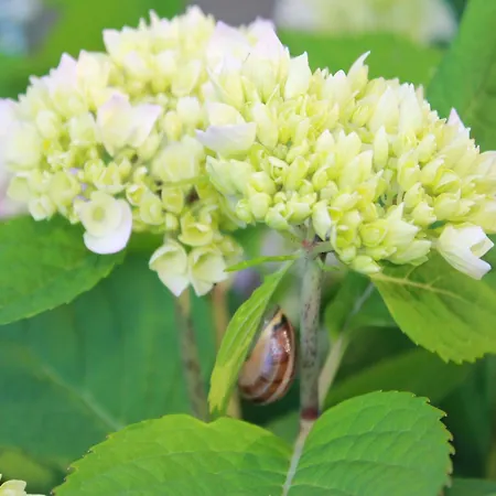 펜션 In Boltenhagen In Strandnaehe Redewisch