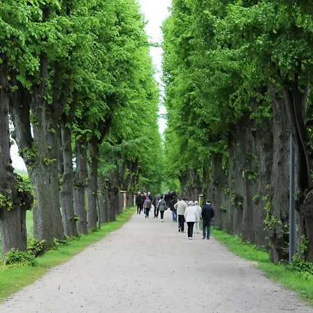 In Boltenhagen In Strandnaehe 펜션