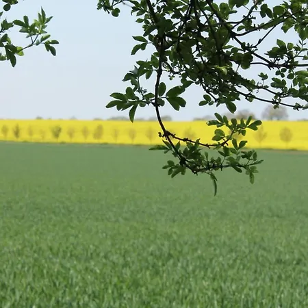 펜션 In Boltenhagen In Strandnaehe Redewisch