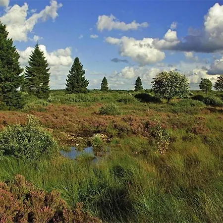 In Boltenhagen In Strandnaehe 펜션